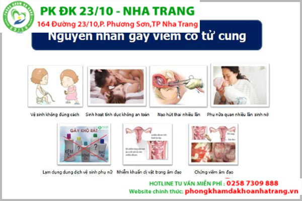 Viêm cổ tử cung do nguyên nhân nào gây nên?