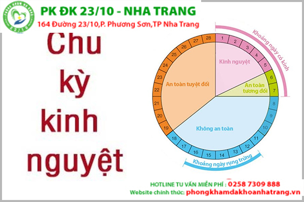 Hiểu đúng về chu kỳ kinh nguyệt của phụ nữ